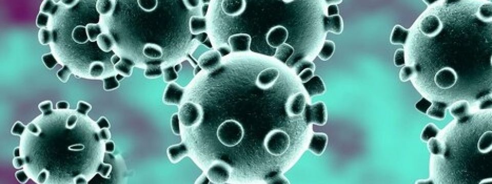 Coronavirus - WHO declares Public Health Emergency of International Concern