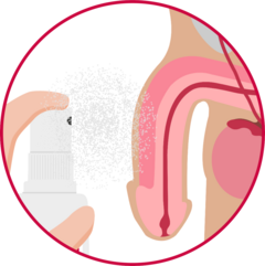 Genital vollständig benetzen