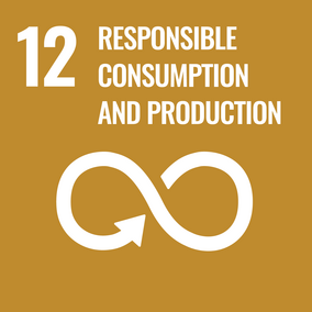 Responsable consumption and production