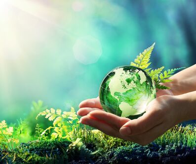 Naše dceřiná společnost Bioxal ve Francii je držitelem certifikátu ISO 14001.