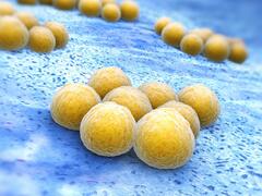 MRSA – Die stille Gefahr