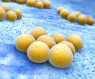 MRSA - Het stille gevaar