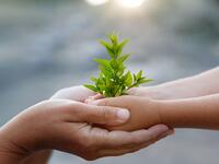 Sustainability