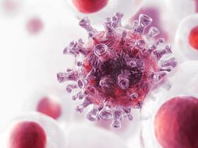 Coronavirus (SARS-CoV-2) 