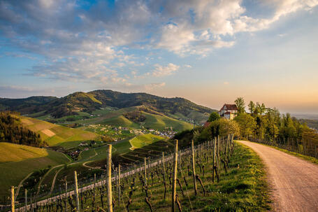 Broszura gigasept® powerSET3