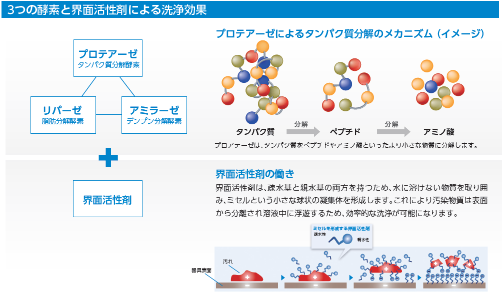ギガザイム3つの酵素