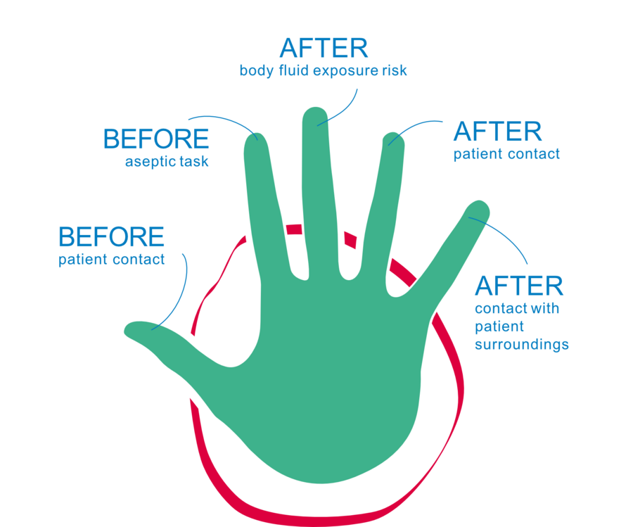 the 5 Moments for Hand Hygiene as recommended by the WHO
