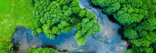 CO2-Kompensation - mikrozid® universal wipes green line