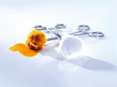 Langzeitwirkung und Remanenz alkoholbasierter Hautantiseptika