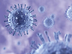 Gefährliche Schönheit: Influenzavirus A/H1N1