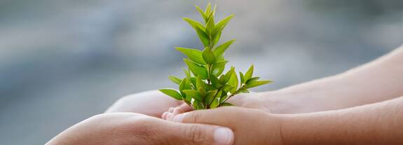 Succesvolle acties voor klimaatbehoud: Science Based Targets initiative (SBTi) keurt de duurzame initiatieven van schülke goed