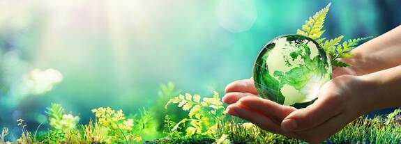 Clear commitment to climate protection: schülke has its own environmental targets scientifically verified by the Science Based Targets initiative (SBTi)