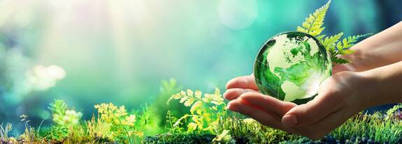 Clear commitment to climate protection: schülke has its own environmental targets scientifically verified by the Science Based Targets initiative (SBTi) 