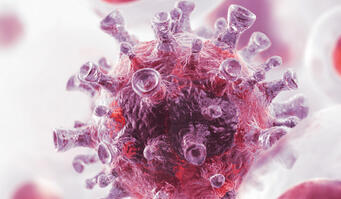 Wie Sie effektiv Infektionen vermeiden 