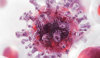 Infection prevention with schülke