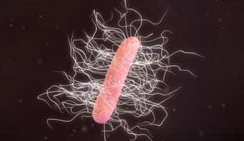 Clostridium difficile