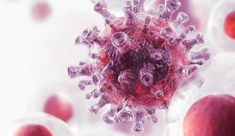 Coronavirus (SARS-CoV-2)