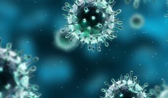 Infekčné patogény