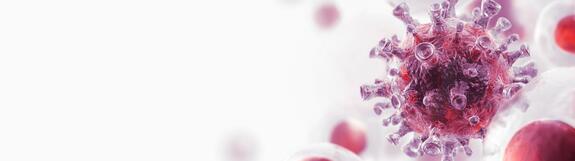 Coronavirus (SARS-CoV-2)