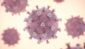 Norowirusy – wysoce zakaźne i zagrażające życiu