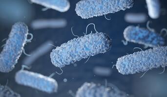 Gruźlica i inne mykobakteriozy