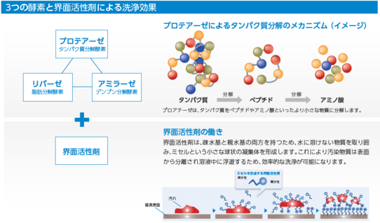 ギガザイム3つの酵素