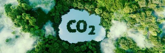 CO2-Einsparung - desderman®