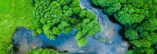 CO2-Kompensation - mikrozid® universal wipes green line