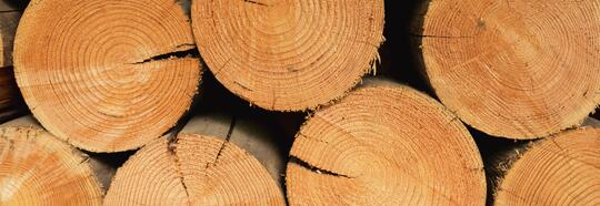 Nachhaltige Rohstoffe - mikrozid® universal wipes green line