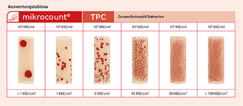 Gesamtkeimanzahl Bakterien