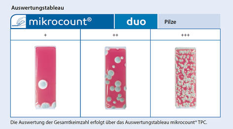 Hefen und Schimmelpilze