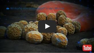 Anwendung octenisept® Wund- und Schleimhautantiseptikum