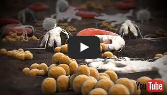 Anwendung octenilin® Wundgel & octenilin Wundspüllösung @YouTube